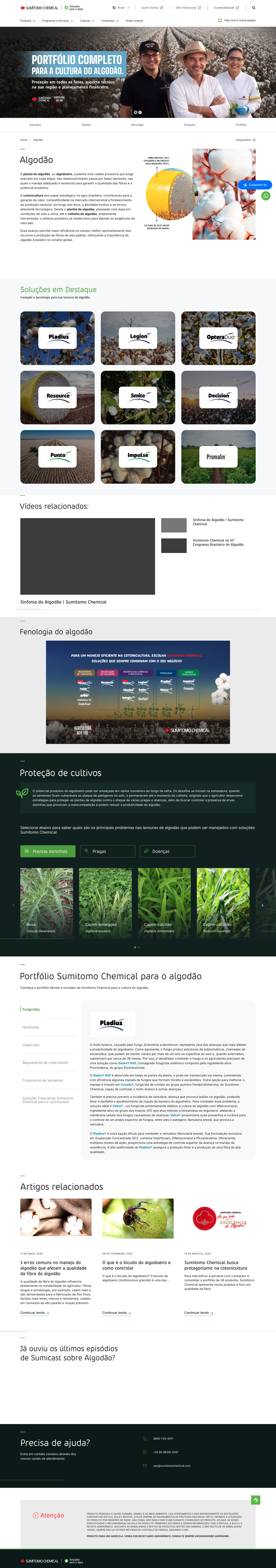Conteúdo por cultura, do algodão à soja